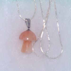 Boho natural Citrine Mushroom 🍄 Silver Neckl…